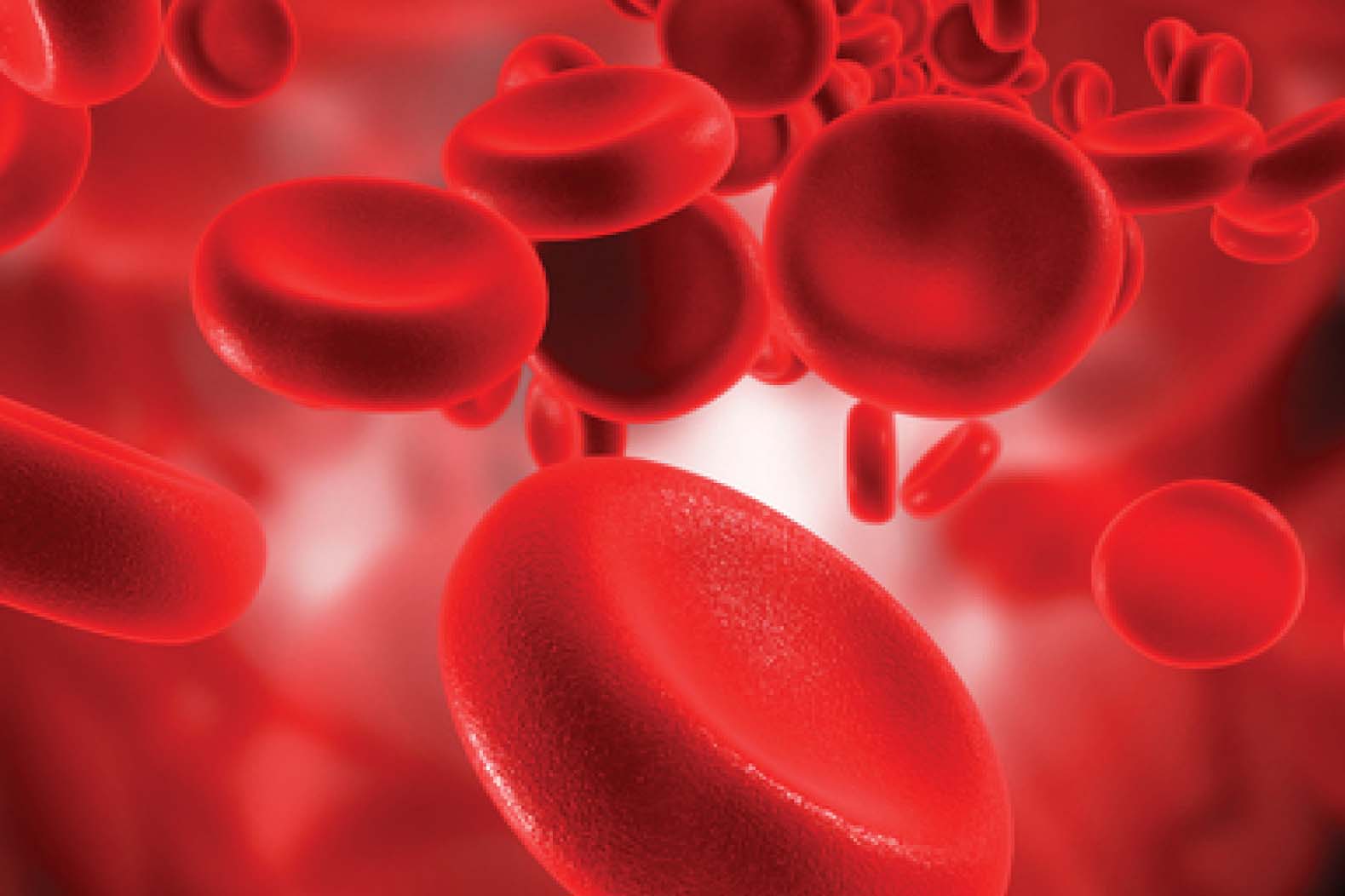 Saudi Arabia’s Hematology Conference: A Step Forward in 2024